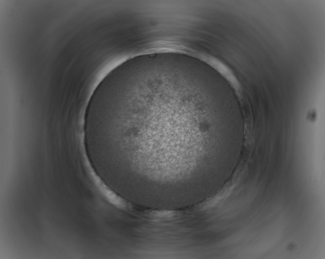 X0000101441431200807141255