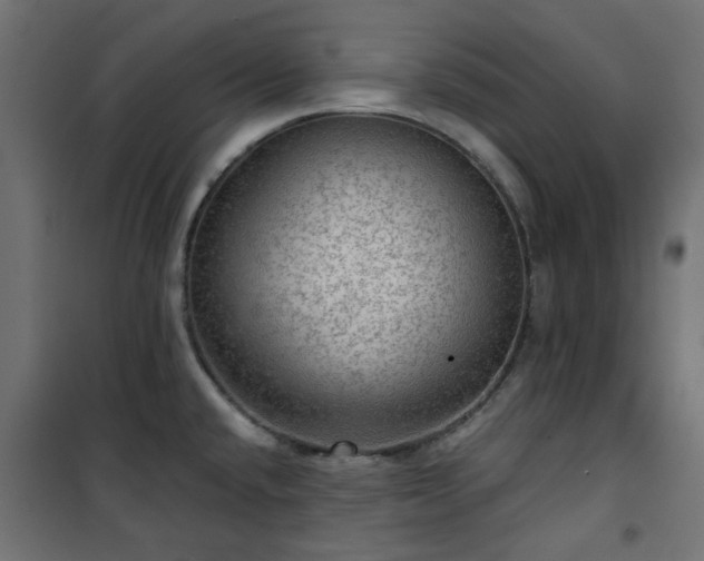 X0000101441432200807141255