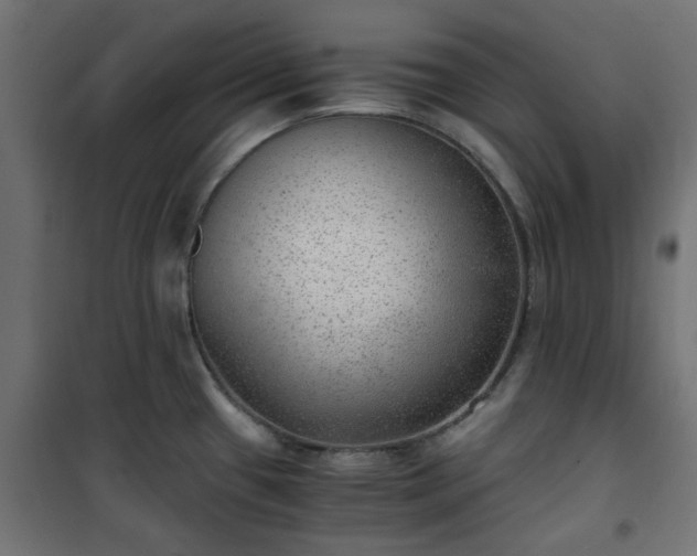 X0000101441433200807141255