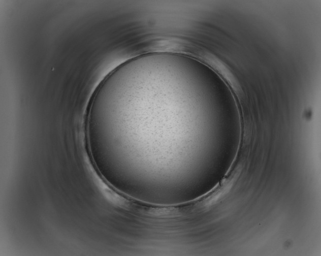 X0000101441434200807141255