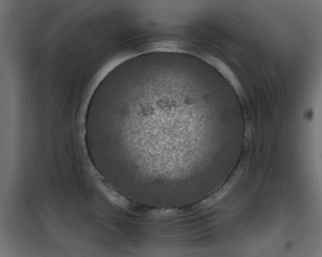 X0000101441435200807141255