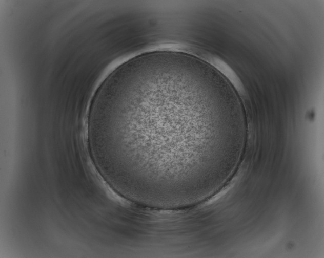 X0000101441436200807141255