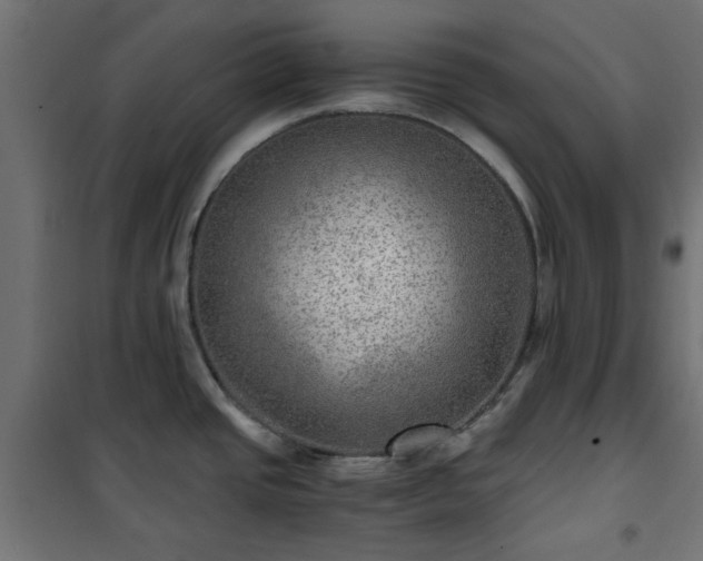 X0000101441437200807141255