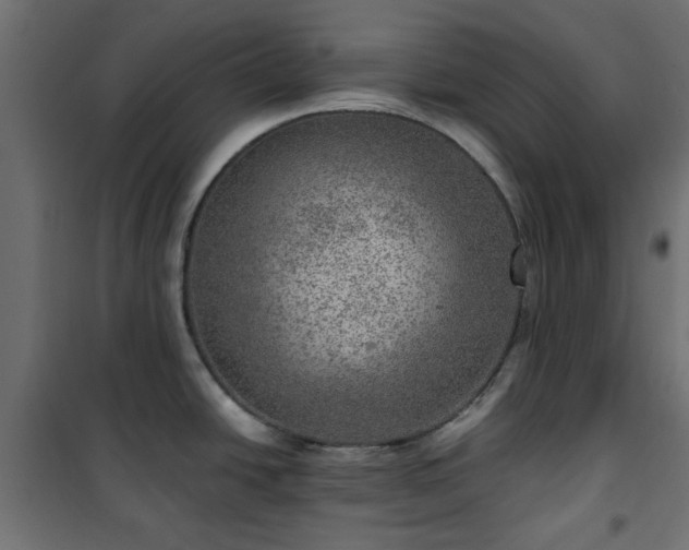 X0000101441438200807141255