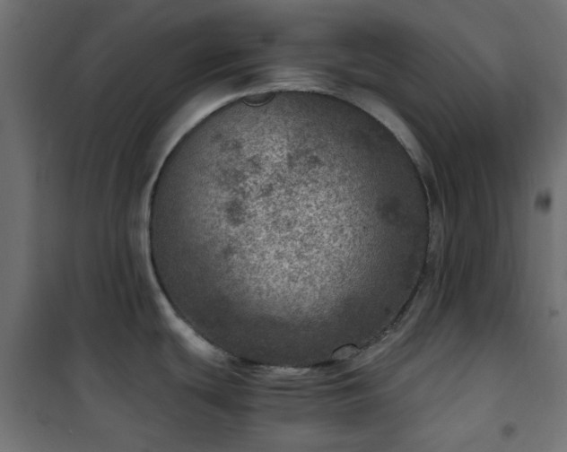 X0000101441439200807141255