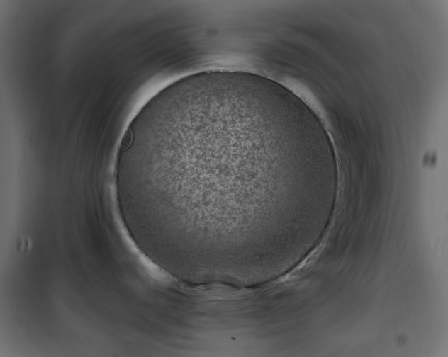 X0000101441440200807141255