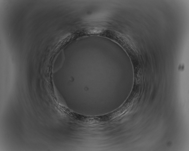 X0000101441441200807141255