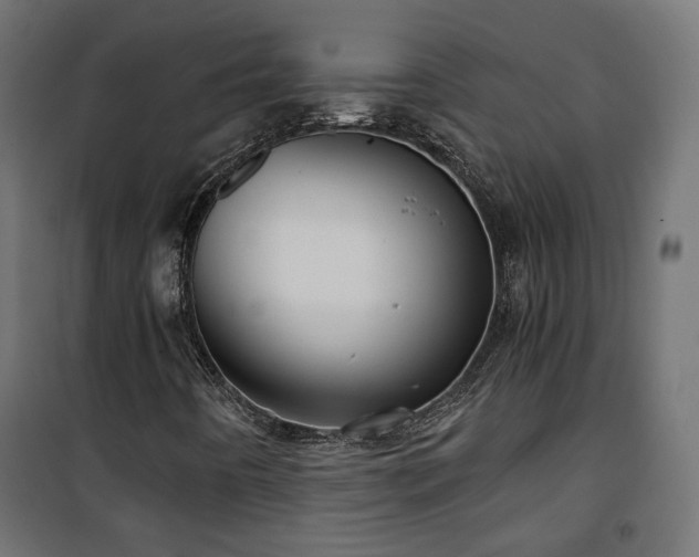 X0000101441442200807141255