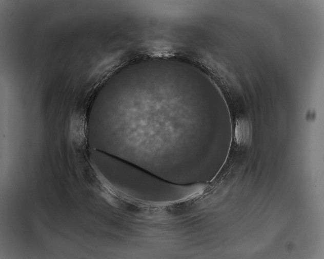 X0000101441444200807141255