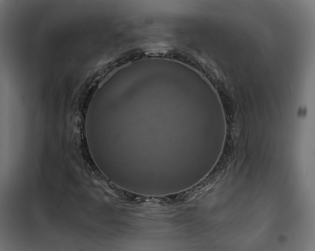 X0000101441445200807141255