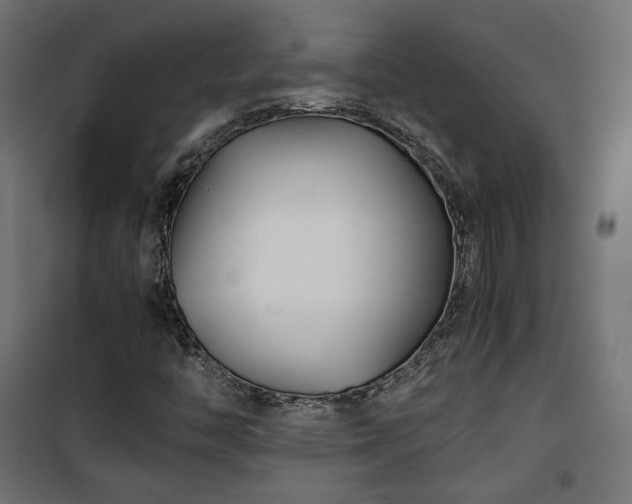 X0000101441446200807141255