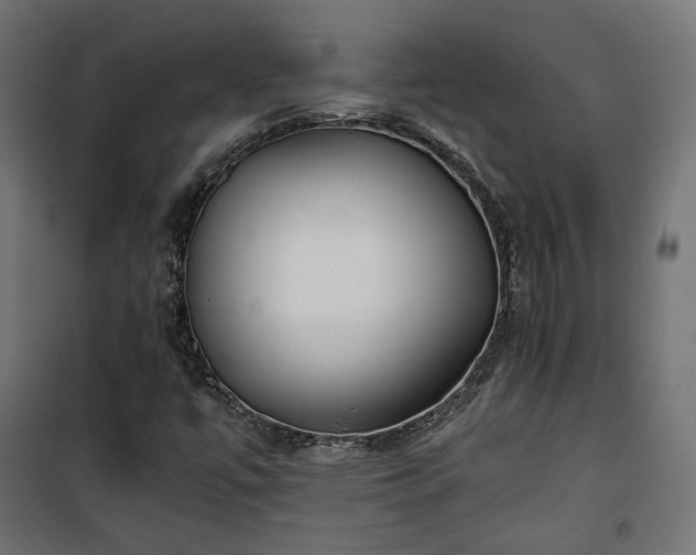 X0000101441447200807141255