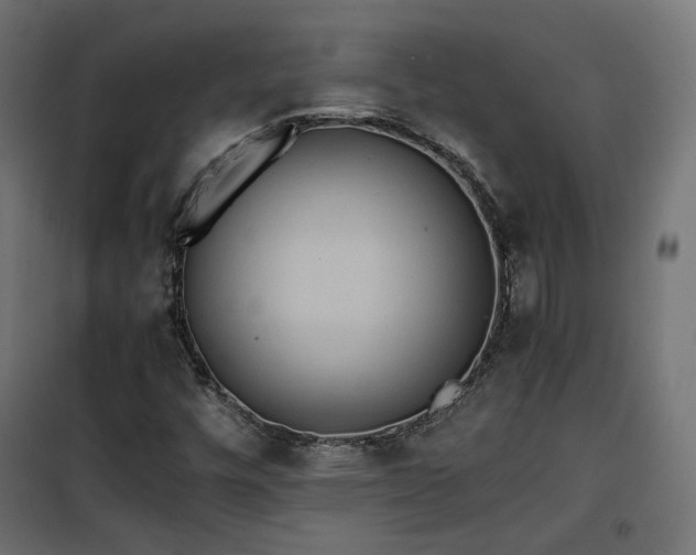 X0000101441448200807141255