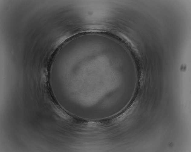 X0000101441449200807141254