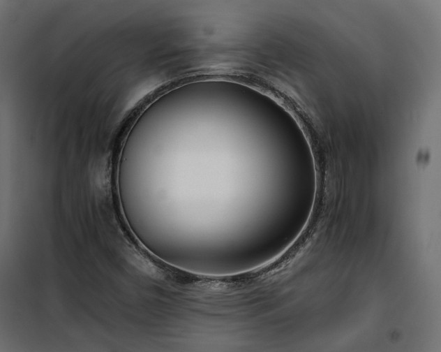 X0000101441450200807141254