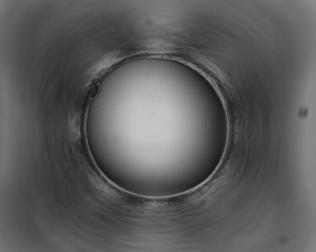 X0000101441451200807141254