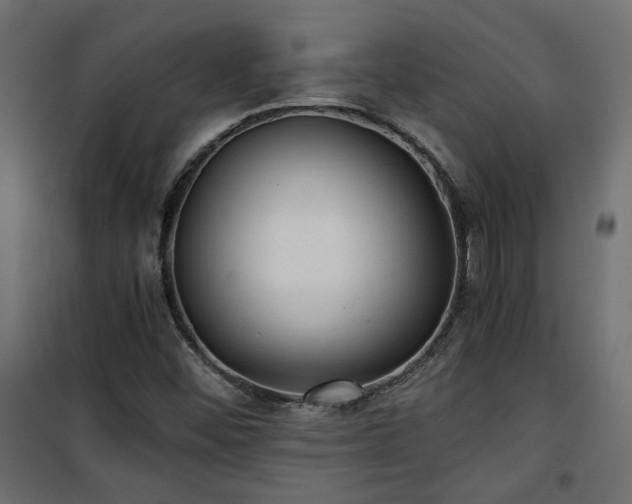 X0000101441452200807141254