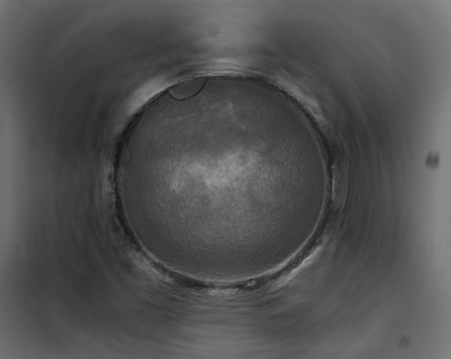 X0000101441453200807141254