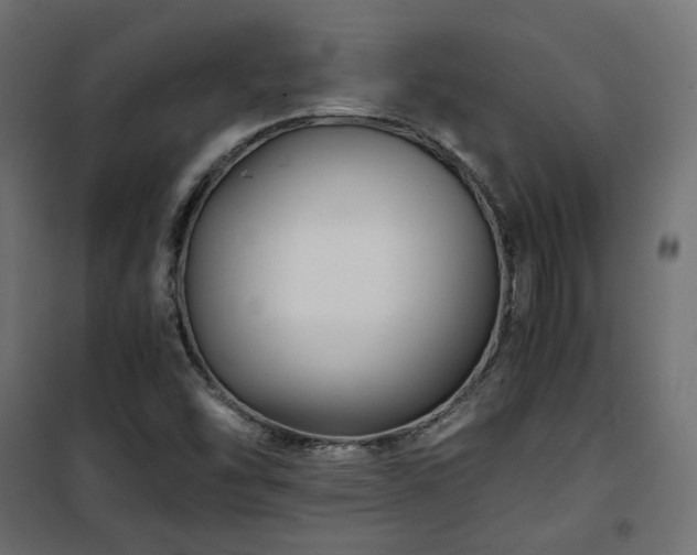 X0000101441454200807141254