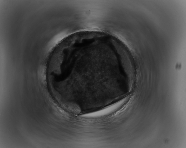 X0000101441455200807141254