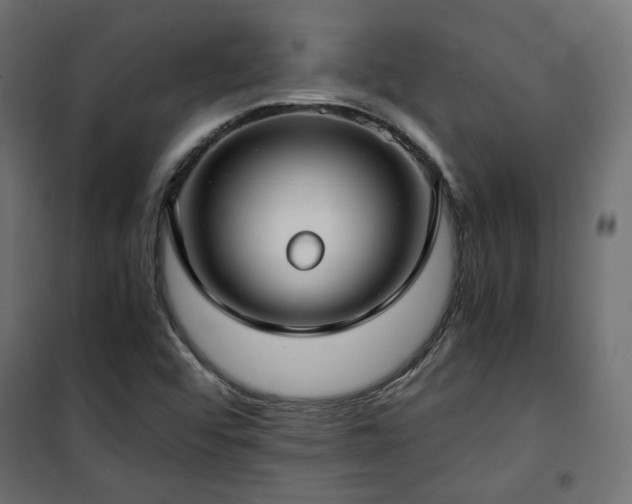 X0000101441456200807141254