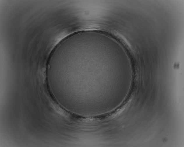 X0000101441457200807141254