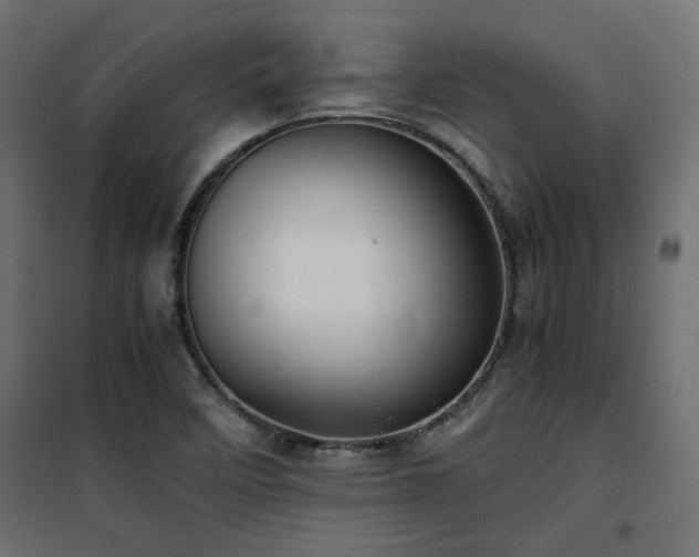 X0000101441458200807141254