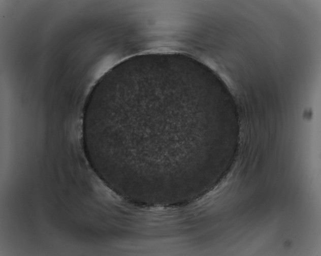 X0000101441459200807141254