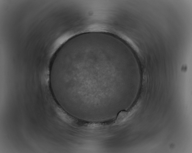 X0000101441461200807141254