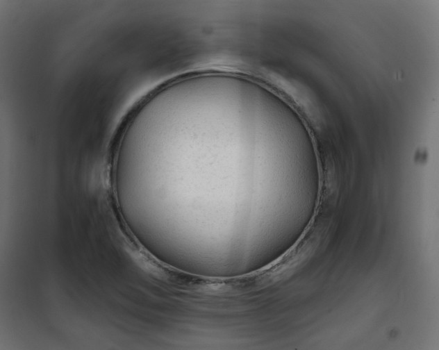 X0000101441462200807141254