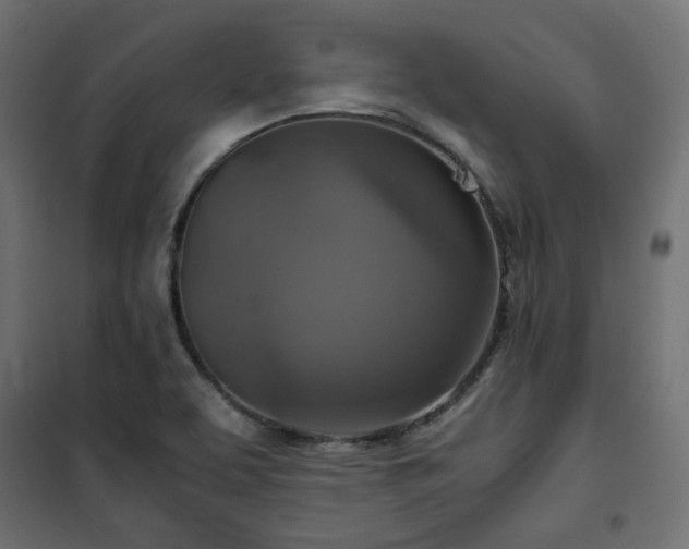 X0000101441463200807141254