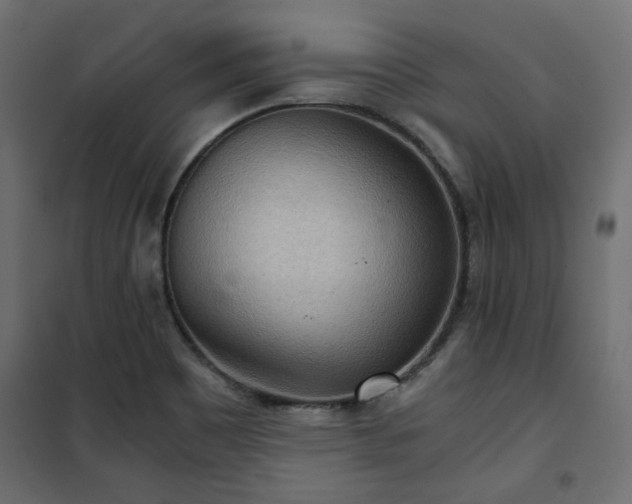 X0000101441465200807141254