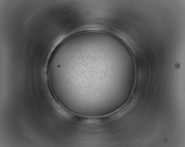 X0000101441466200807141254