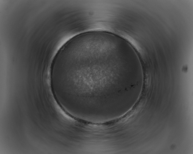 X0000101441468200807141254