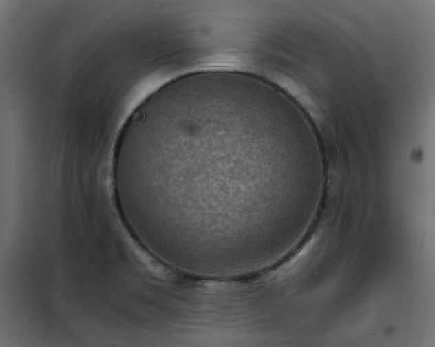 X0000101441469200807141254