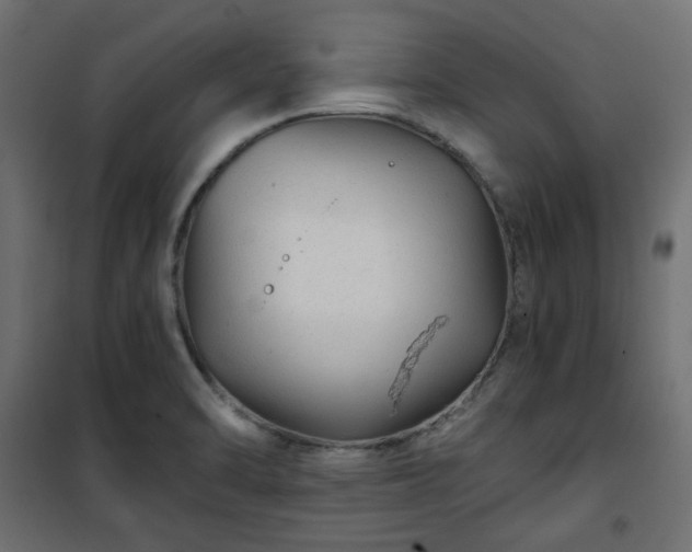 X0000101441470200807141254