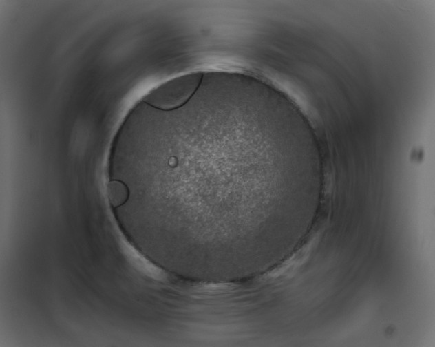 X0000101441471200807141254