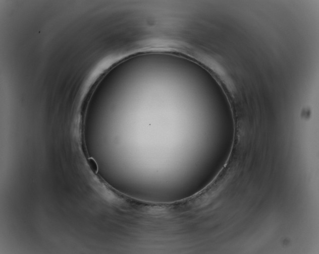 X0000101441472200807141254