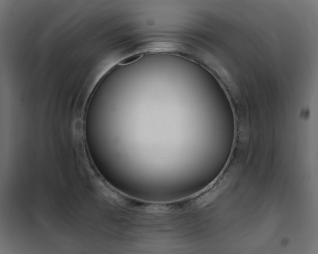 X0000101441473200807141254