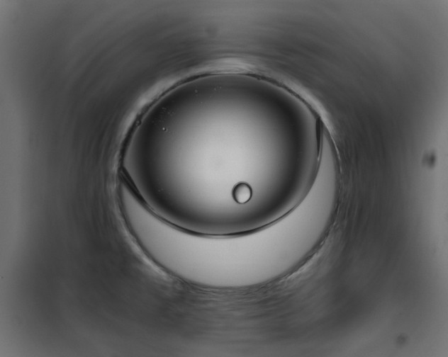 X0000101441477200807141254