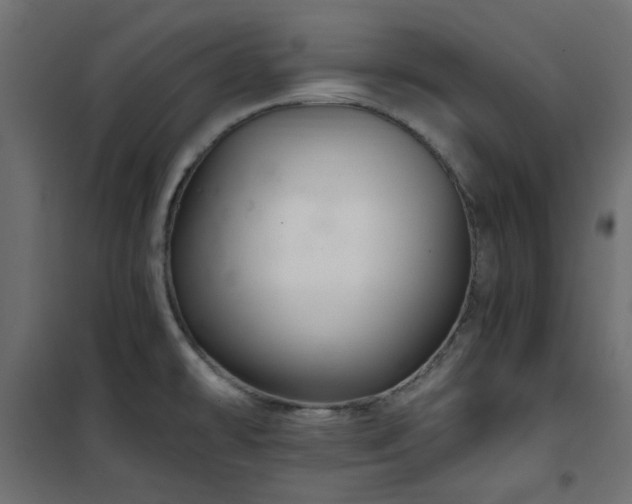 X0000101441478200807141254