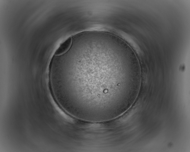 X0000101441479200807141254