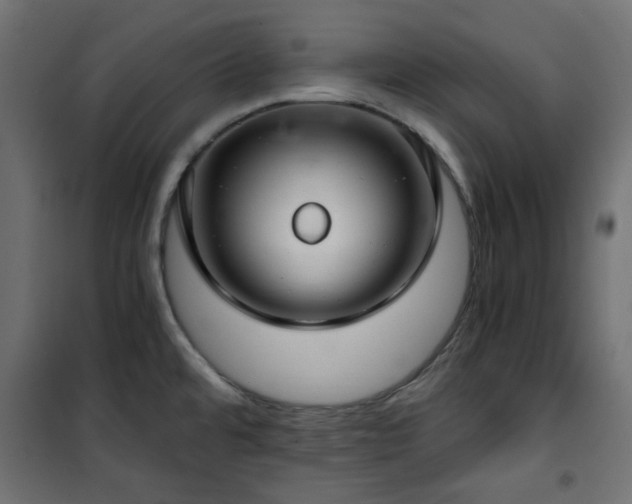 X0000101441480200807141254