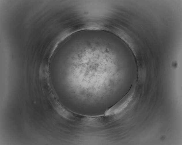 X0000101441481200807141254