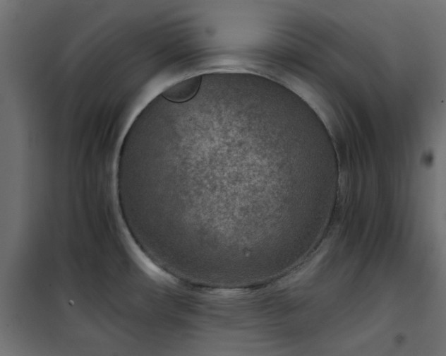 X0000101441482200807141254