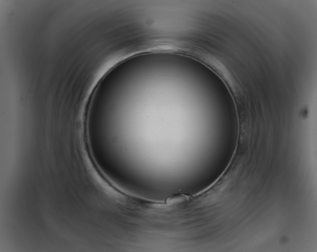 X0000101441483200807141254