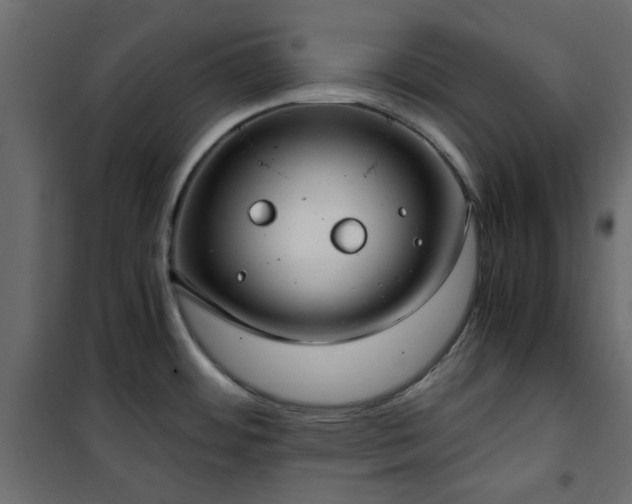 X0000101441484200807141254