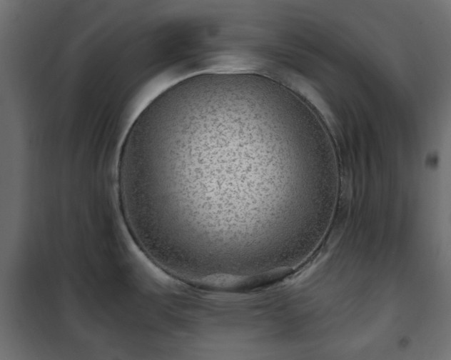 X0000101441487200807141254