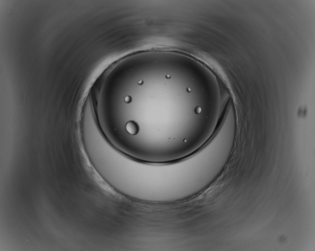 X0000101441488200807141254