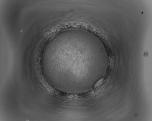 X0000101441489200807141253